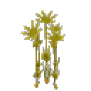 Papyrus Reeds - Hytale Item | HytaleCharts