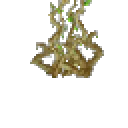 Hanging Cave Roots - ヒタル Plant | ヒタルチャート